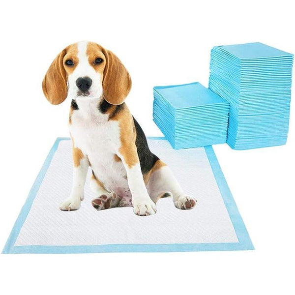 Tapis Hygiénique d'Entraînement Ultra Absorbant pour Chiens – Animalux