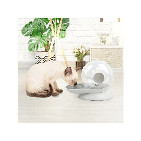 Fontaine escargot 2,8 L avec filtre