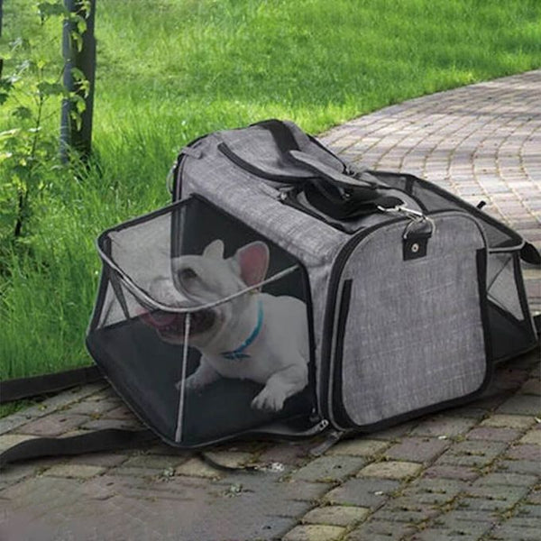 Sac de transport extensible pour chat et chien-Petits Compagnons