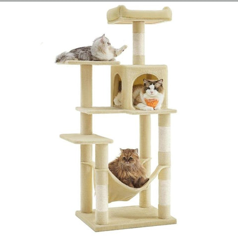 Robuste Arbre a Chat