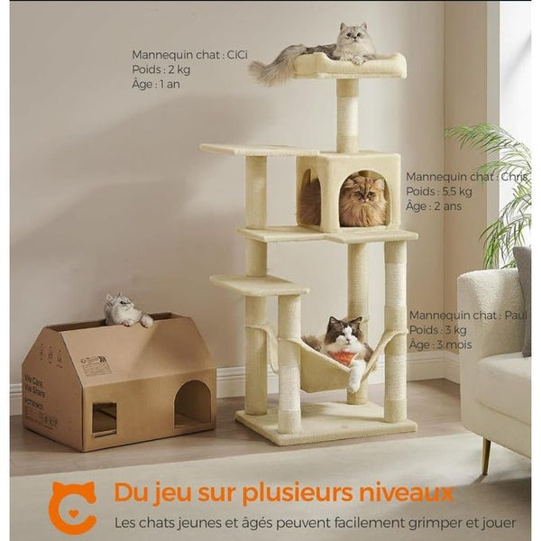 Robuste Arbre a Chat
