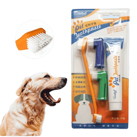 Brosse et dentifrice pour chien, soins bucco-dentaires pour chiens