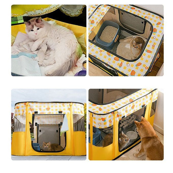 Salle d'accouchement pour Animaux de Compagnie adaptée aux Chat&chien