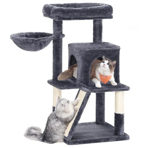 Kilin Arbre A Chat