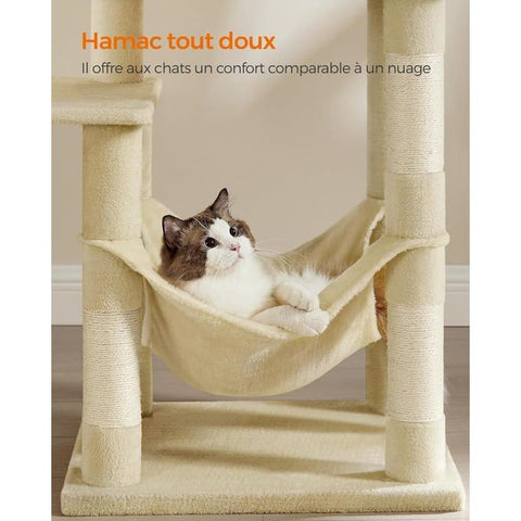Robuste Arbre a Chat