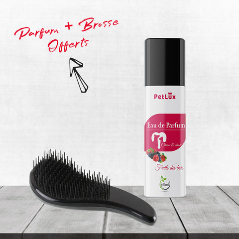 Petlux PACK hygiène POUR CHIEN