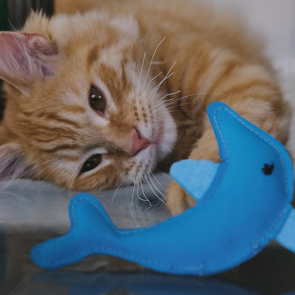 Jouet à mordiller pour chat Beco – Dauphin