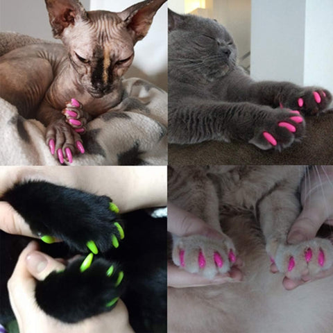 Capsules d'Ongles Colorés pour Chat