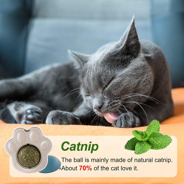 Boule Herbe Ă  Chat Comestibles pour Chats