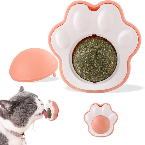 Boule Herbe à Chat Comestibles pour Chats