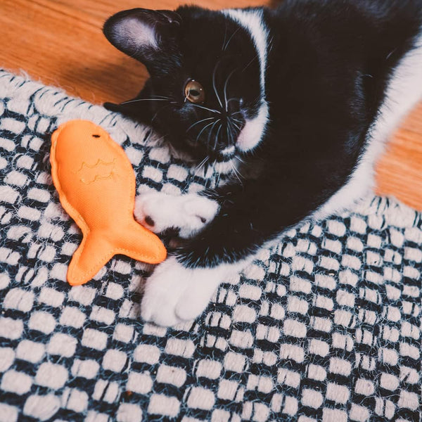 Jouet à herbe à chat Beco – Poisson