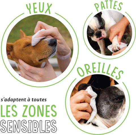 Lingettes nettoyantes pour Chien & chat