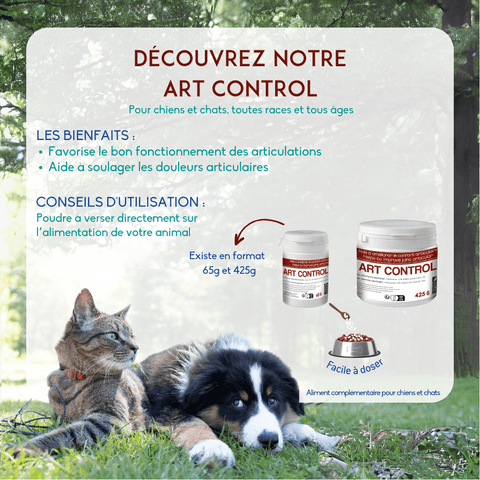 Art control en poudre Aliment complémentaire pour chiens et chats