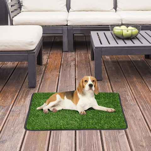 Tapis gazon vert pour chien