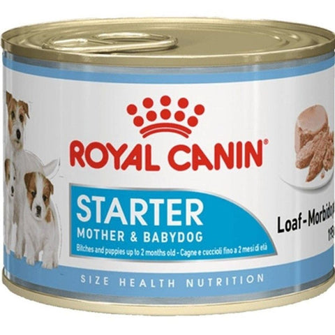 Pâté Royal Canin Starter Mousse