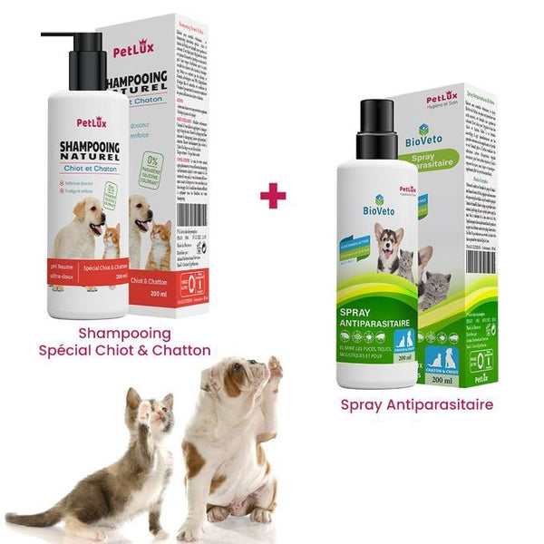 Petlux Shampooing et spray antiparasites pour chiot et chaton 200ml