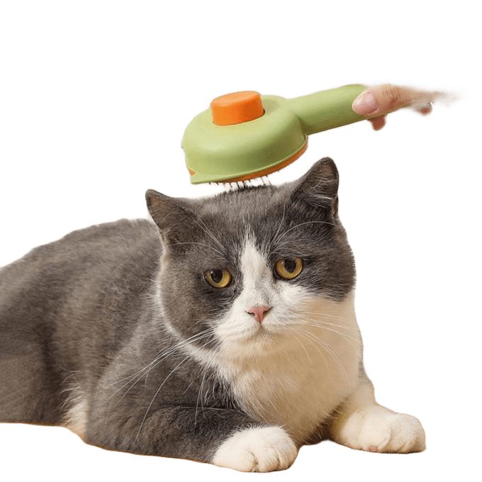 Brosse de toilettage pour chats d'intérieur en acier inoxydable