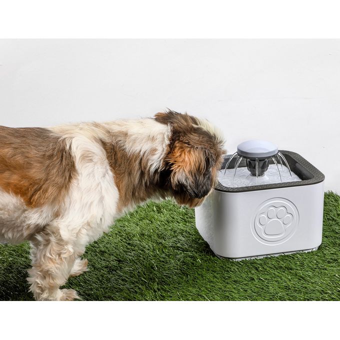 Fontaine portative pour animaux de compagnie sans BPA