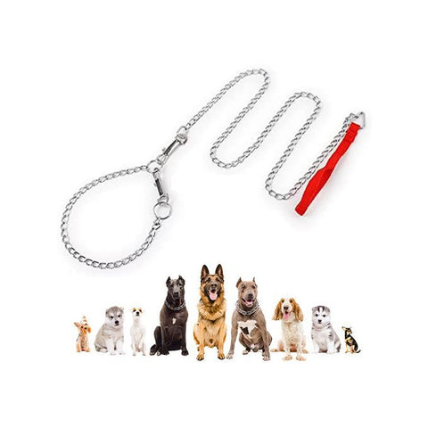 laisse de chaîne en métal robuste pour chiens de petite, moyenne et grande taille