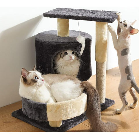 Animalux griffoir et maison pour chat 1 mètre cm la hauteur sur 60 cm