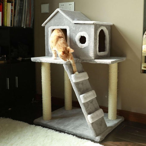 Animalux Maison pour Chat avec Échelle d'Arbre
