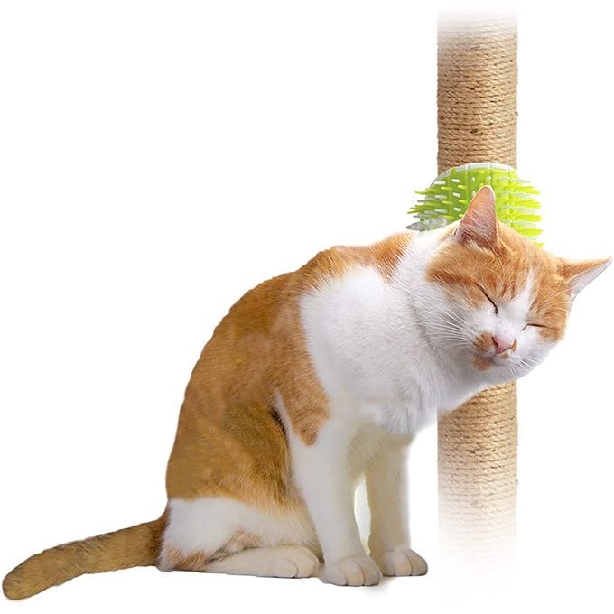 Brosse 2 en 1 pour chat – coins et rebords