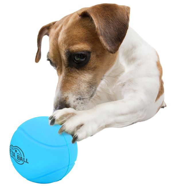 Meta ball rebondissante