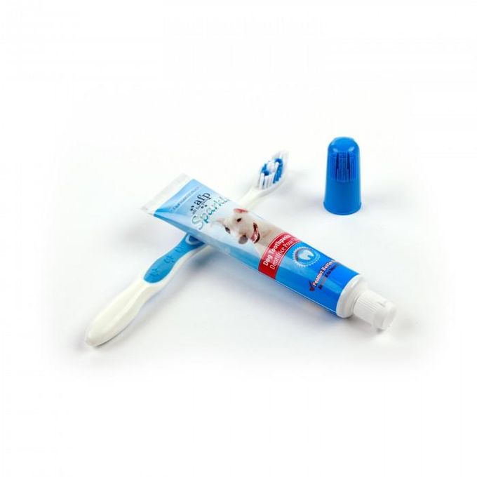 Kit dentaire – brosse et dentifrice beurre cacahuète