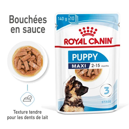 Royal Canin Paté Maxi Puppy Humide