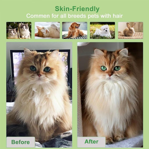 brosse de nettoyage pour poils d'animaux Chat&Chien
