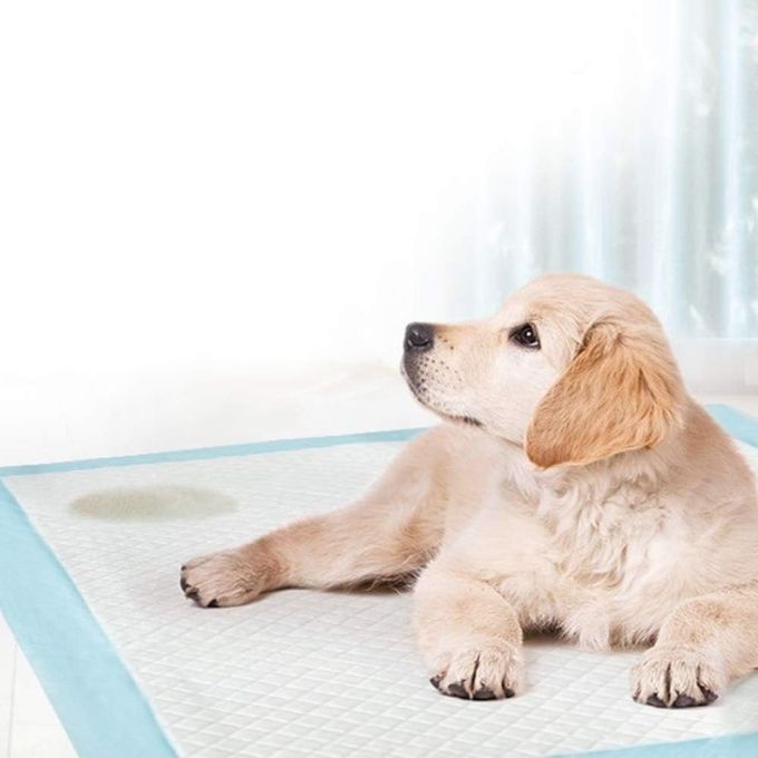 Tapis Hygiénique d'Entraînement Ultra Absorbant pour Chiens