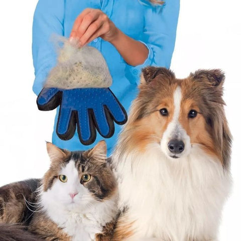 Gant de nettoyage pour chien&chat couleur bleu