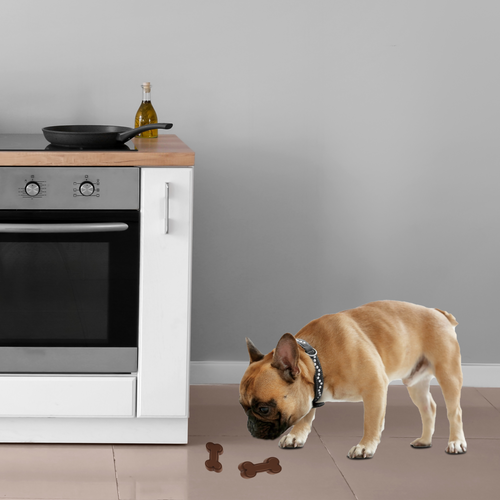 Moule silicone à friandises Doggie Chef