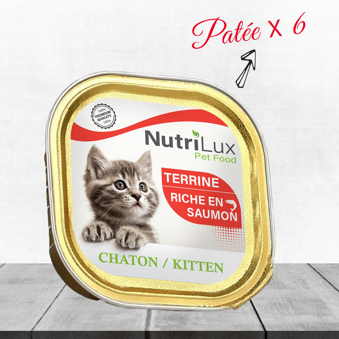 Pack Chatons All In One Nutrilux : Terrine pour chatons riche en saumon en boîte.