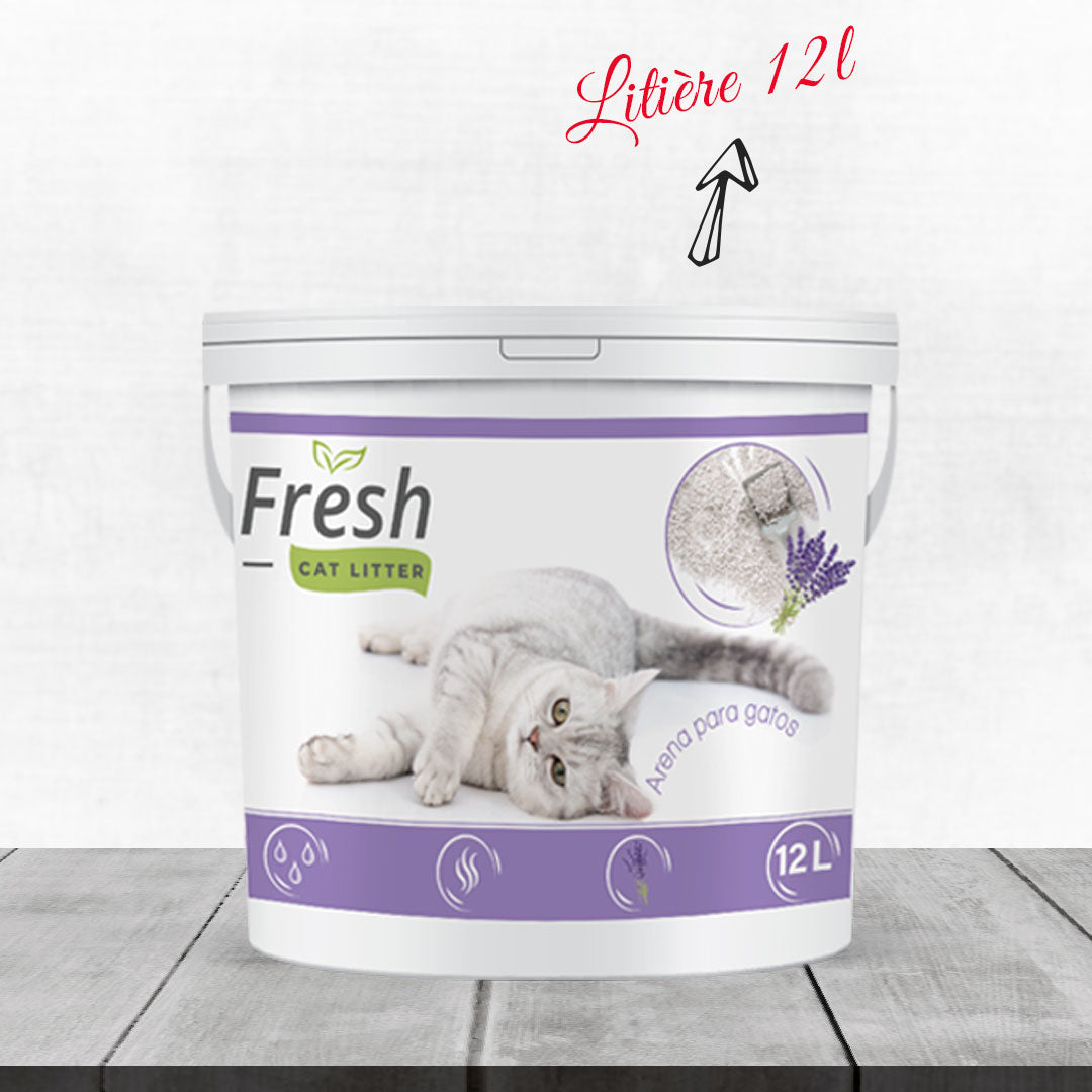 Pack Chatons All In One Nutrilux : Litière Fresh pour chat avec un seau de 12L