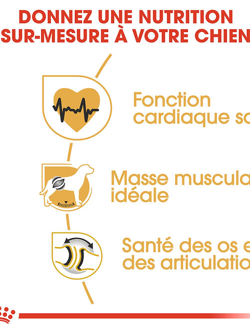 Royal Canin Rottweiler Adult 12kg