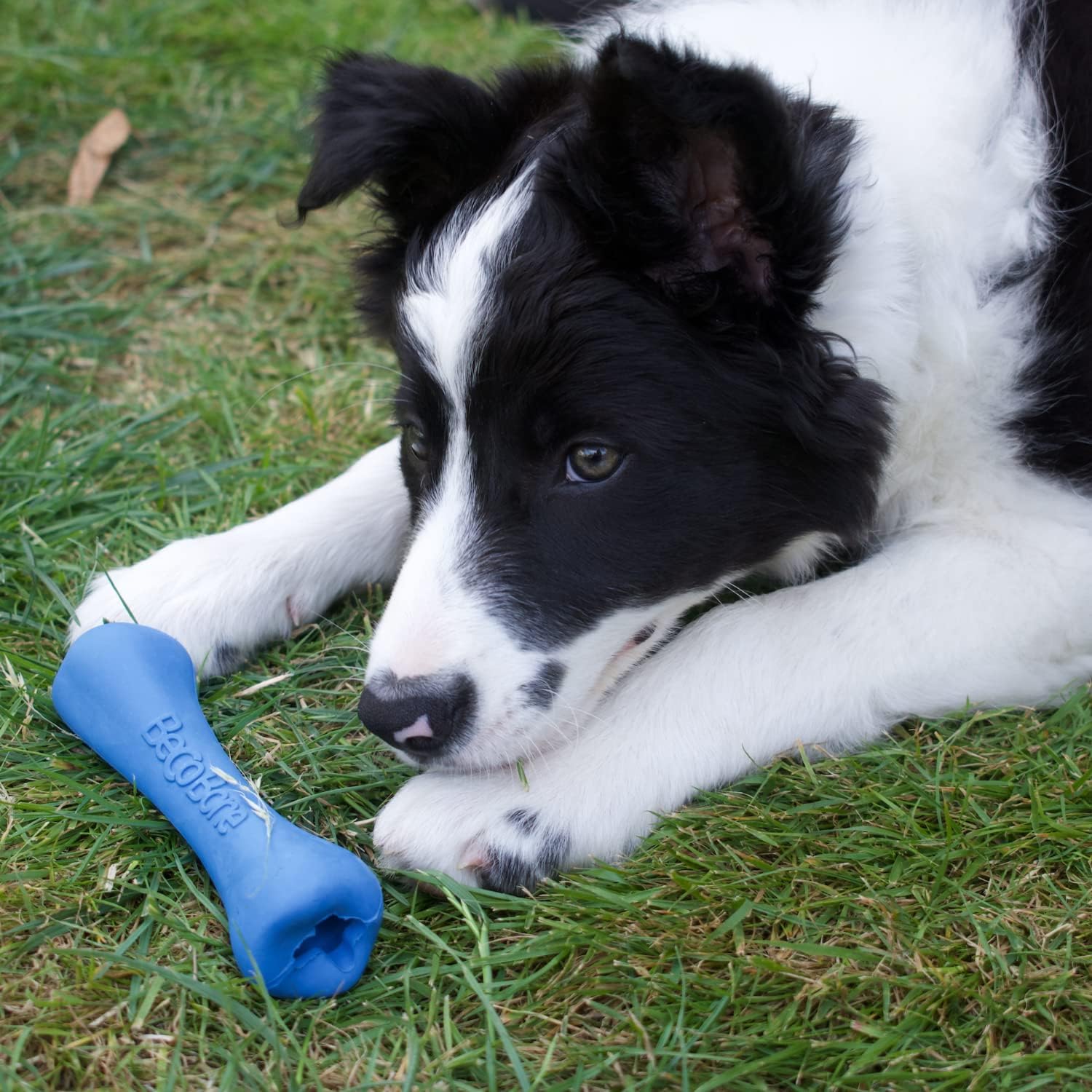 Beco Treat Bone – Moyen (175 mm) Bleu