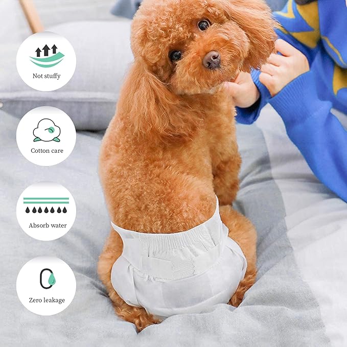 Leopet Couches hygiéniques douces absorbantes pour chien male Taille M
