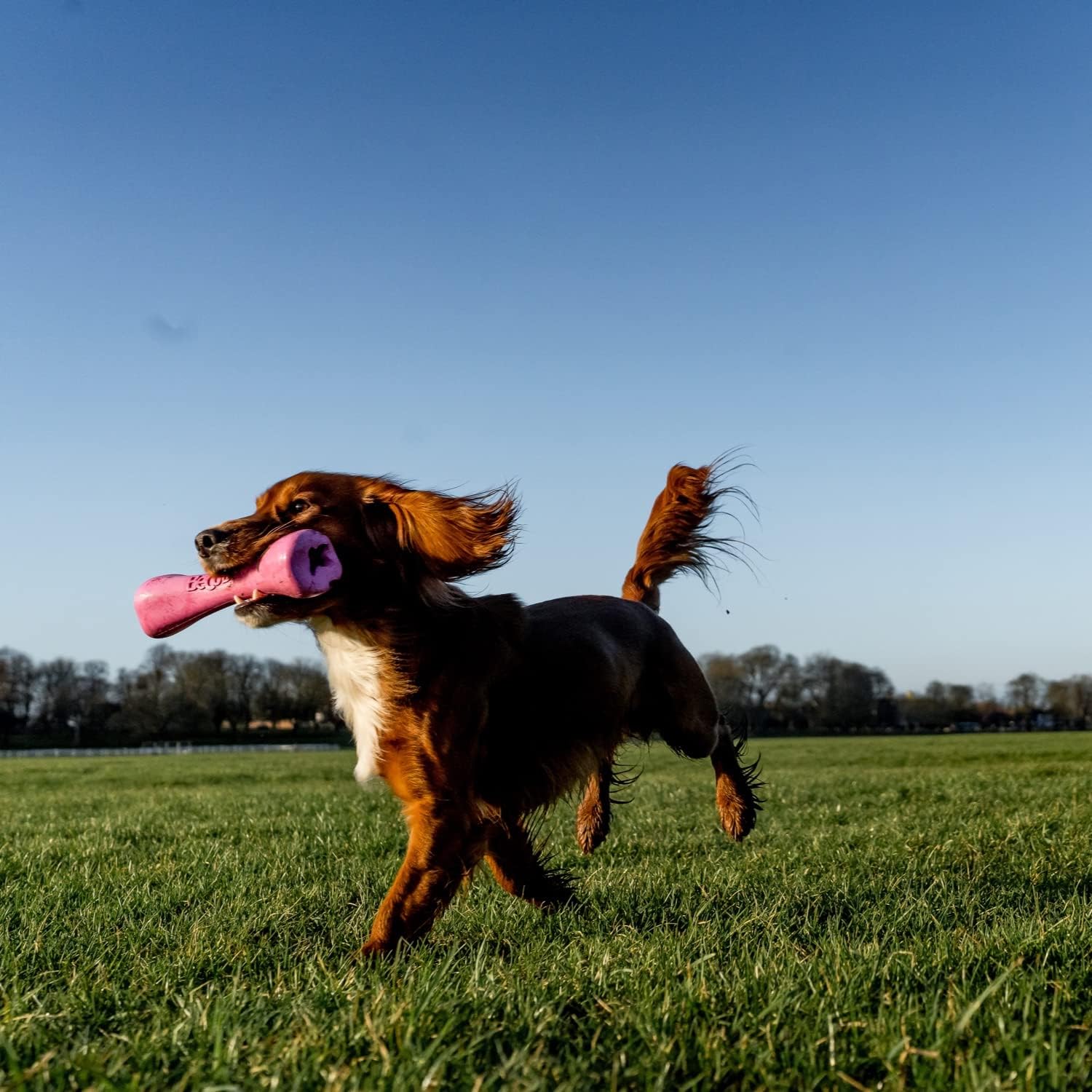 Beco Treat Bone – Moyen (175 mm) Rose