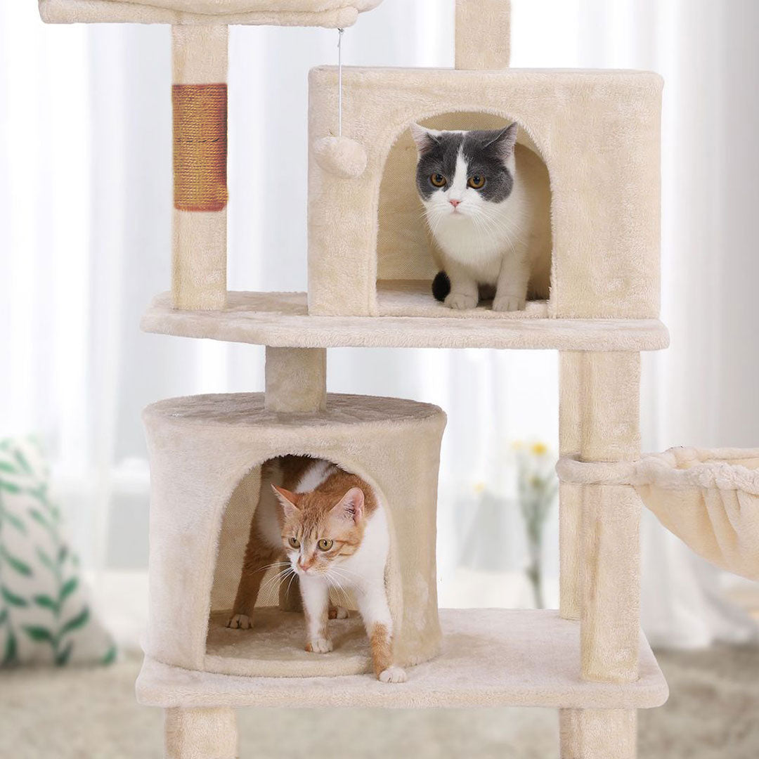 Arbre à Chat 150 cm Animalux Luxe - Livraison Maroc