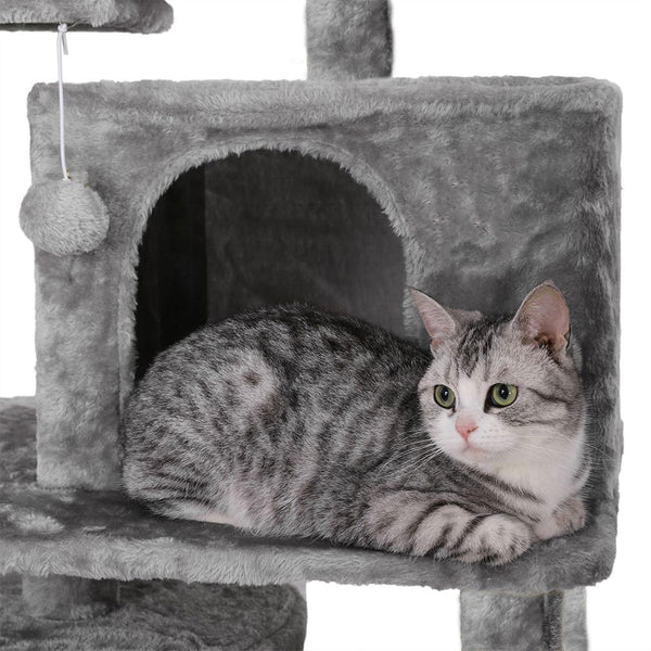 Animalux Arbre à chat 150 cm – Luxe, 2 niches, panier, perchoirs, griffoirs sisal et base renforcée