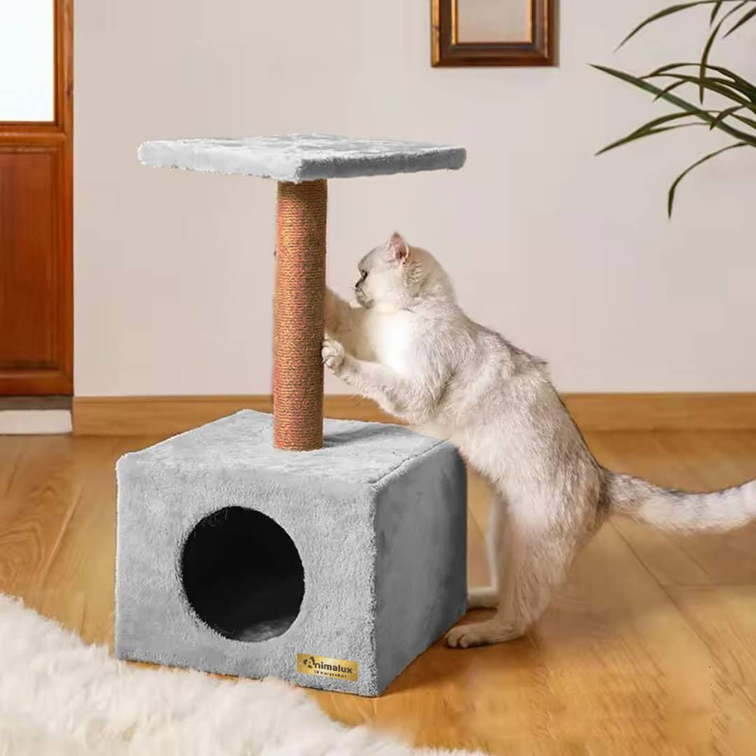 Arbre à Chat avec Niche et Griffoir – 60 cm