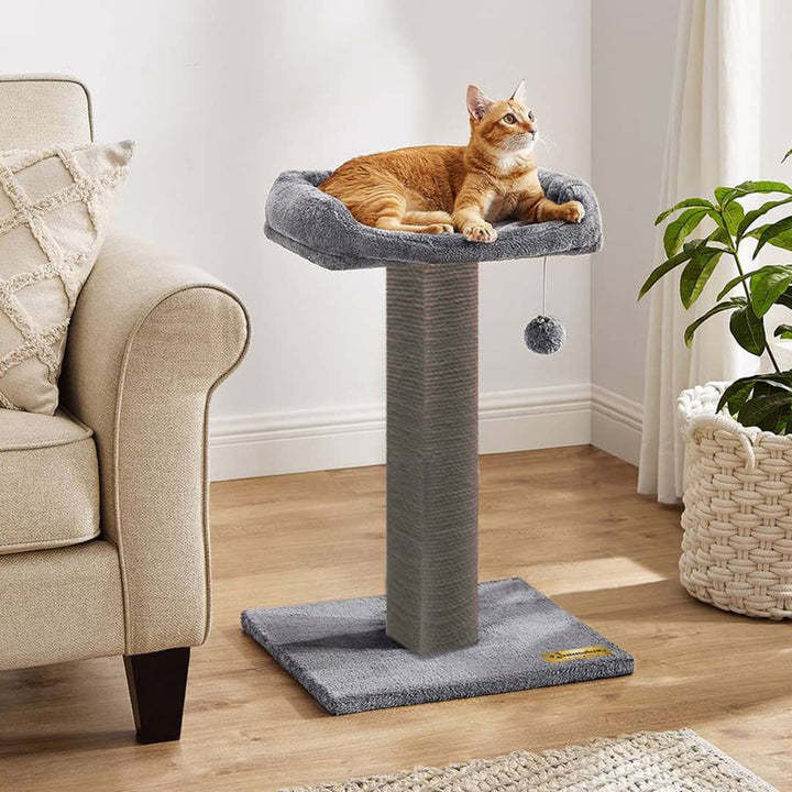 Griffoir pour chat avec Lit rembourré & jouet suspendu
