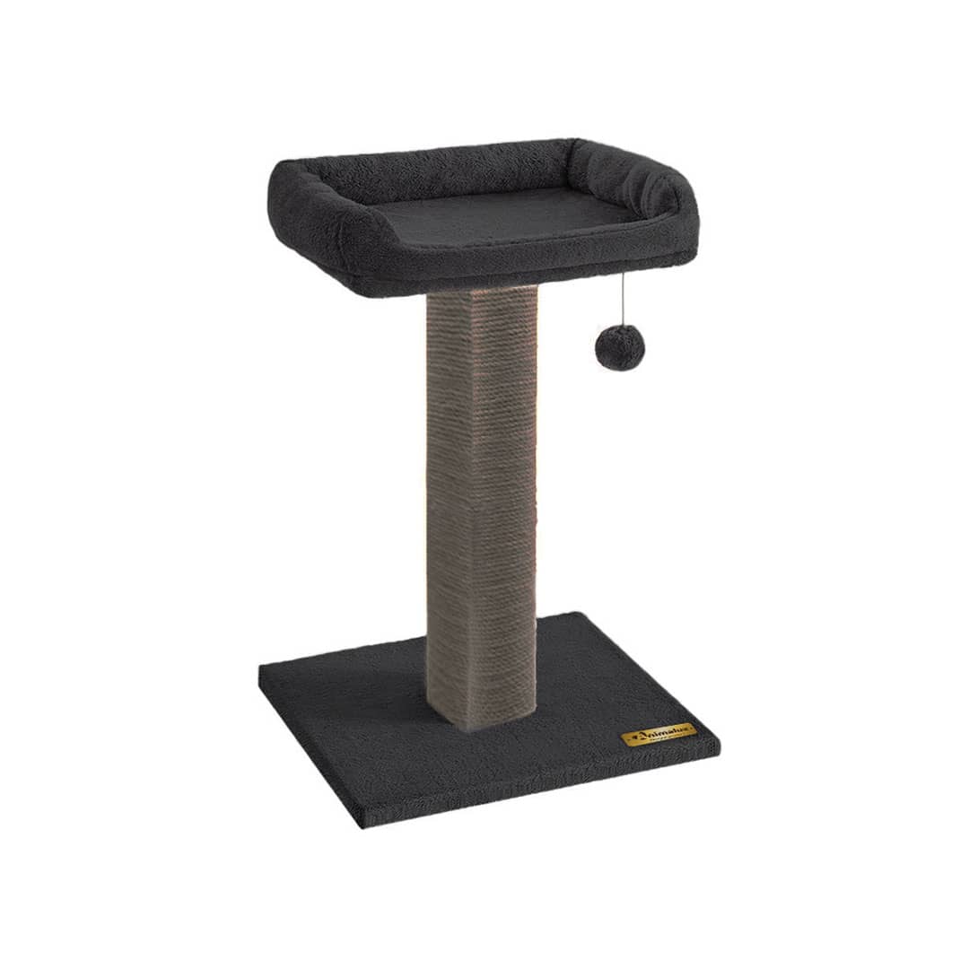 Griffoir pour chat avec Lit rembourré & jouet suspendu