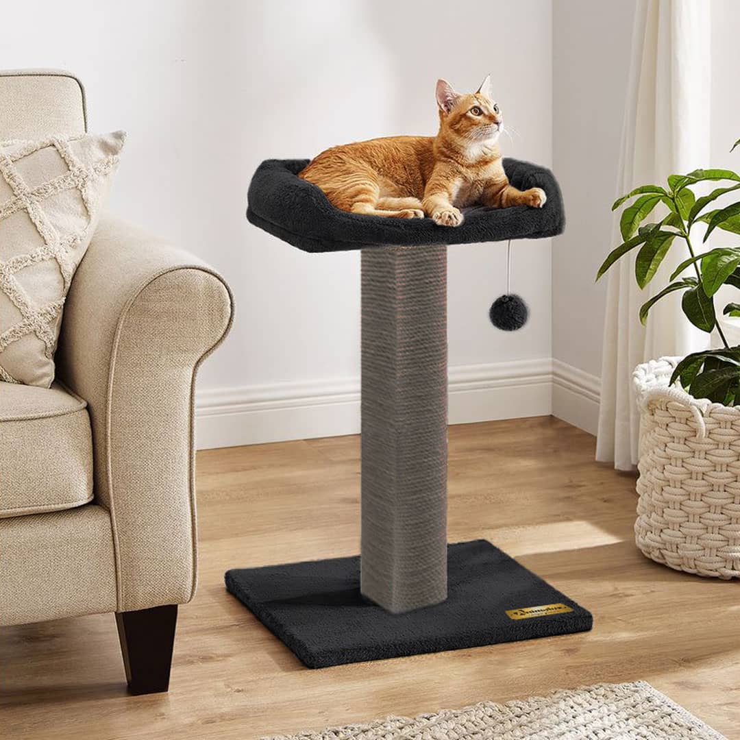 Griffoir pour chat avec Lit rembourré & jouet suspendu