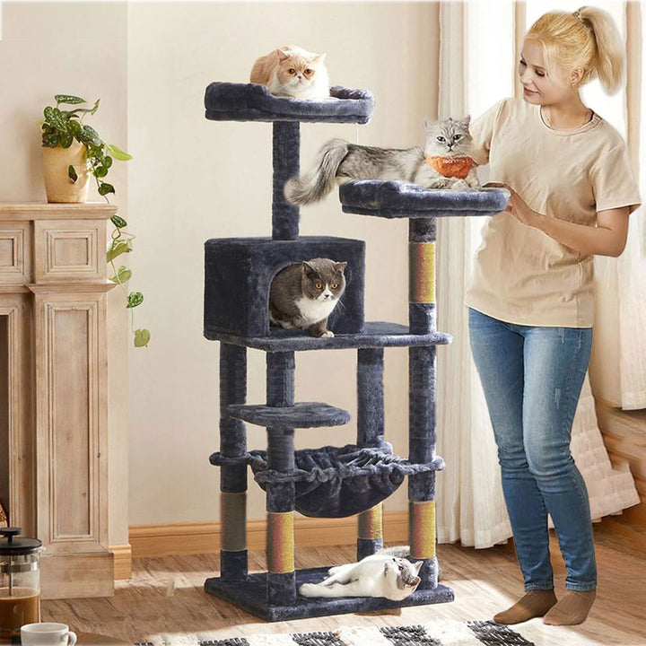 Arbre à chat de luxe en bois naturel – 145 cm-Noire