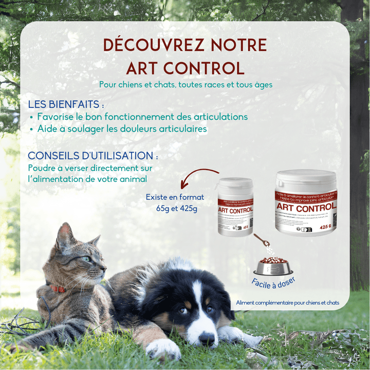 Art control en poudre Aliment complémentaire pour chiens et chats