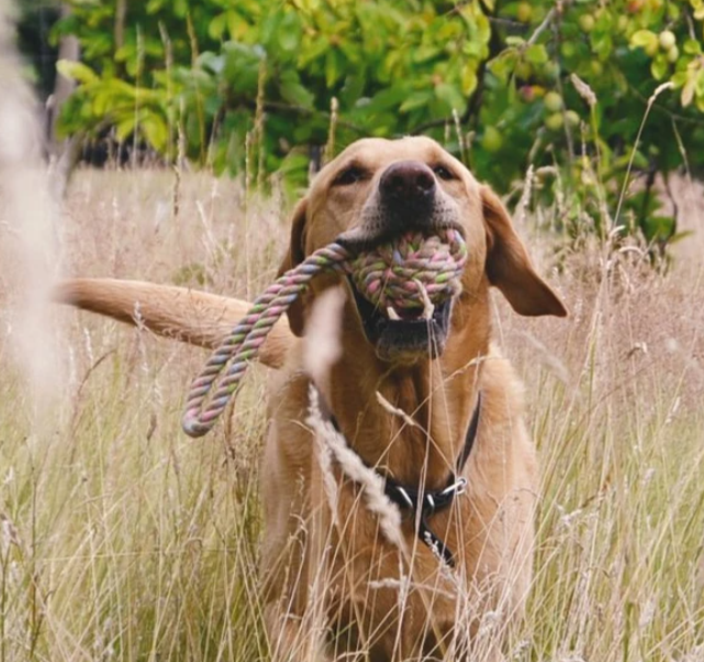 Beco Rope – Boule de chanvre avec boucle Medium