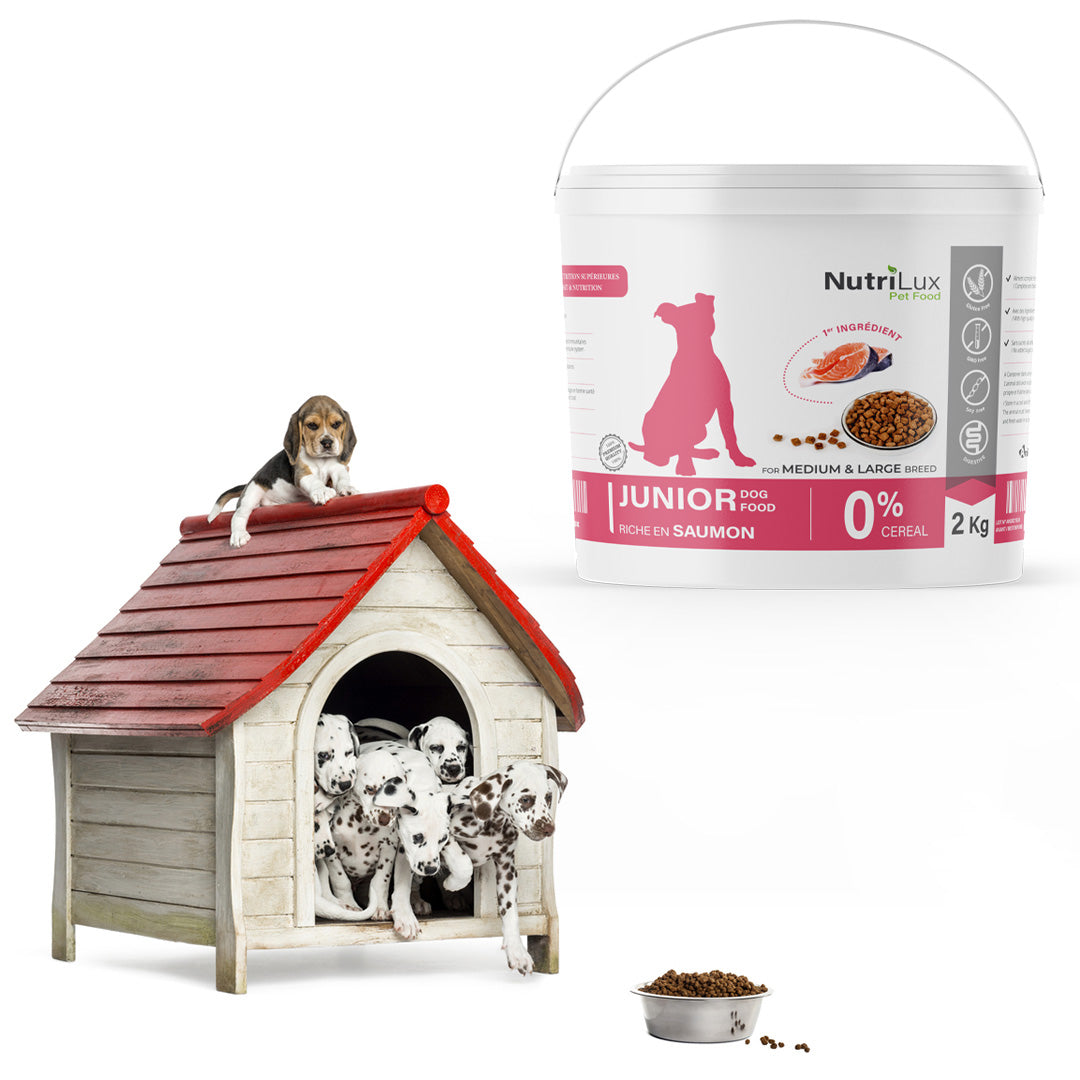 Nutrilux Croquettes chien MINI JUNIOR sans céreal riche en saumon 2kg