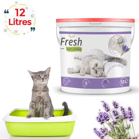 Litière Agglomérante  pour chat Fresh 12L Lavande